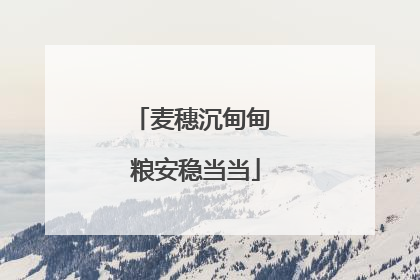 麦穗沉甸甸 粮安稳当当