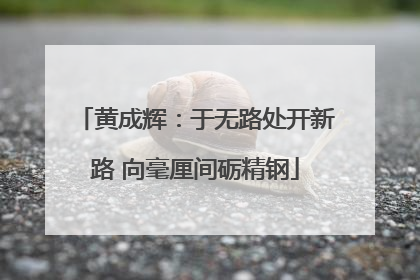 黄成辉：于无路处开新路 向毫厘间砺精钢