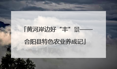 黄河岸边好“丰”景——合阳县特色农业养成记