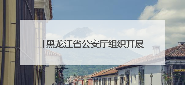 黑龙江省公安厅组织开展“六一”普法宣传活动