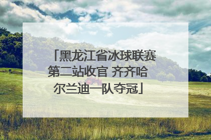 黑龙江省冰球联赛第二站收官 齐齐哈尔兰迪一队夺冠