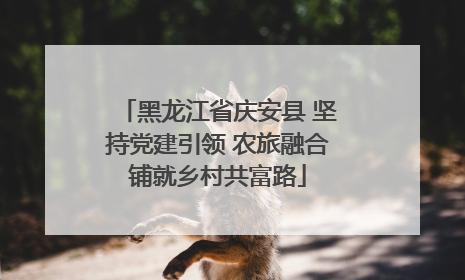 黑龙江省庆安县 坚持党建引领 农旅融合铺就乡村共富路