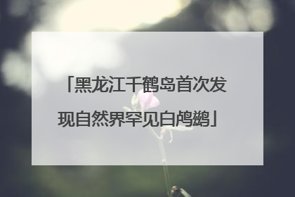 黑龙江千鹤岛首次发现自然界罕见白鸬鹚