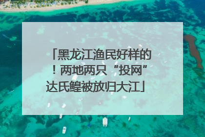 黑龙江渔民好样的！两地两只“投网”达氏鳇被放归大江