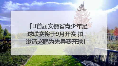 ﻿首届安徽省青少年足球联赛将于9月开赛 拟邀请赵鹏为先导赛开球