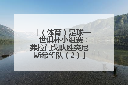 （体育）足球——世俱杯小组赛：弗拉门戈队胜突尼斯希望队（2）