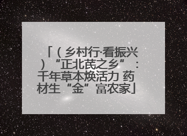 （乡村行·看振兴）“正北芪之乡”：千年草本焕活力 药材生“金”富农家