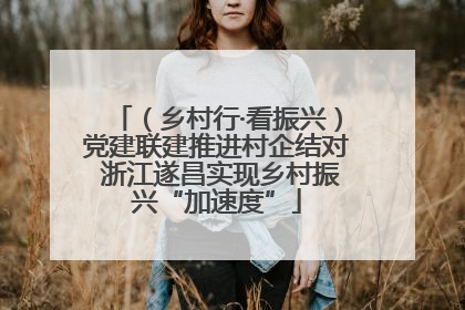 （乡村行·看振兴）党建联建推进村企结对 浙江遂昌实现乡村振兴“加速度”