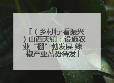 （乡村行·看振兴）山西天镇：设施农业“棚”勃发展 辣椒产业蓄势待发