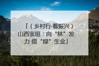 （乡村行·看振兴）山西襄垣：向“林”发力 借“绿”生金
