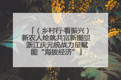 （乡村行·看振兴）新农人绘就共富新图景 浙江庆元统战力量赋能“海拔经济”