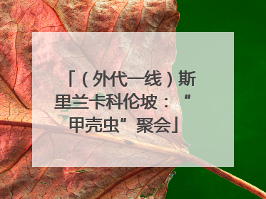 （外代一线）斯里兰卡科伦坡：“甲壳虫”聚会