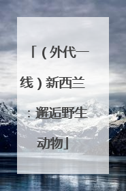 （外代一线）新西兰：邂逅野生动物