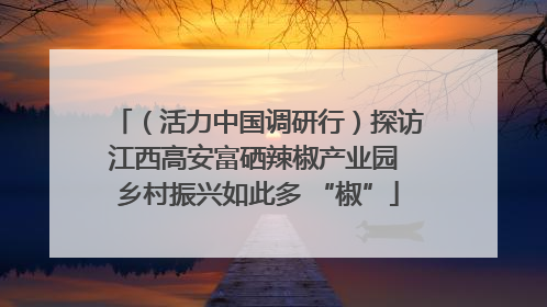 （活力中国调研行）探访江西高安富硒辣椒产业园 乡村振兴如此多 “椒”