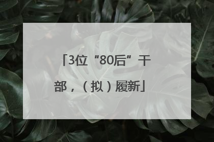 3位“80后”干部，（拟）履新