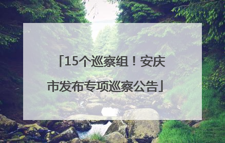 15个巡察组！安庆市发布专项巡察公告