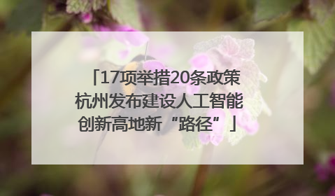 17项举措20条政策 杭州发布建设人工智能创新高地新“路径”