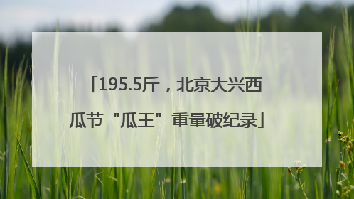 195.5斤，北京大兴西瓜节“瓜王”重量破纪录