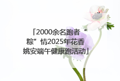 2000余名跑者“粽”情2025年花香姚安端午健康跑活动