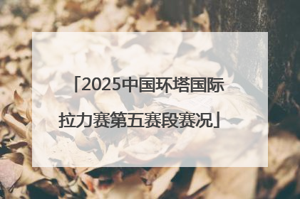 2025中国环塔国际拉力赛第五赛段赛况