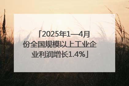 2025年1—4月份全国规模以上工业企业利润增长1.4%