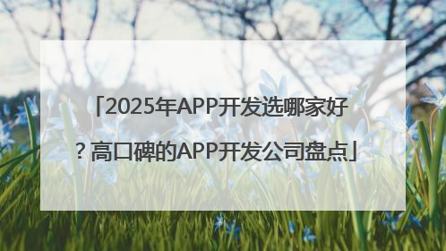 2025年APP开发选哪家好？高口碑的APP开发公司盘点