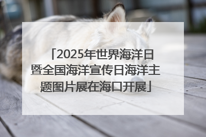 2025年世界海洋日暨全国海洋宣传日海洋主题图片展在海口开展