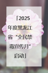 2025年度黑龙江省“全民禁毒宣传月”启动