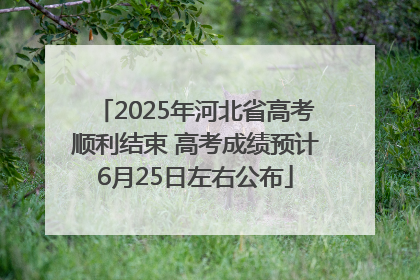 2025年河北省高考顺利结束 高考成绩预计6月25日左右公布