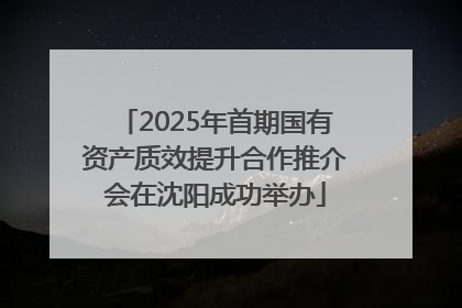 2025年首期国有资产质效提升合作推介会在沈阳成功举办