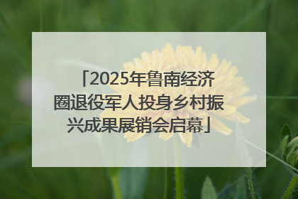 2025年鲁南经济圈退役军人投身乡村振兴成果展销会启幕