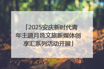 2025安庆新时代青年主题月暨文旅新媒体创享汇系列活动开展