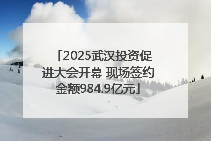 2025武汉投资促进大会开幕 现场签约金额984.9亿元