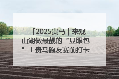 2025贵马｜来观山湖做最靓的“显眼包”！贵马跑友赛前打卡点燃奔跑热情