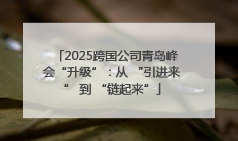 2025跨国公司青岛峰会“升级”：从 “引进来” 到 “链起来”