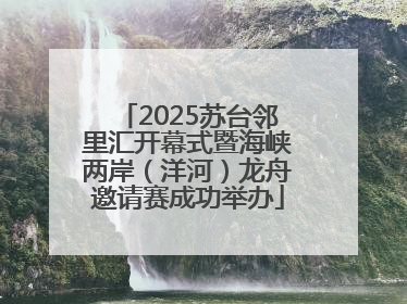 2025苏台邻里汇开幕式暨海峡两岸（洋河）龙舟邀请赛成功举办