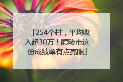 254个村，平均收入超30万！醴陵市这份成绩单有点亮眼
