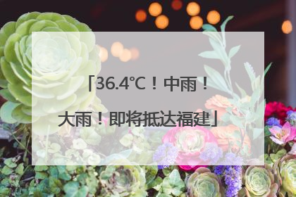 36.4℃！中雨！大雨！即将抵达福建