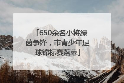 650余名小将绿茵争锋，市青少年足球锦标赛落幕