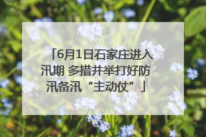 6月1日石家庄进入汛期 多措并举打好防汛备汛“主动仗”