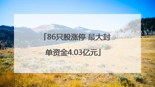 86只股涨停 最大封单资金4.03亿元