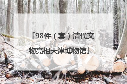 98件（套）清代文物亮相天津博物馆