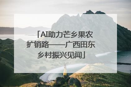 AI助力芒乡果农扩销路——广西田东乡村振兴见闻