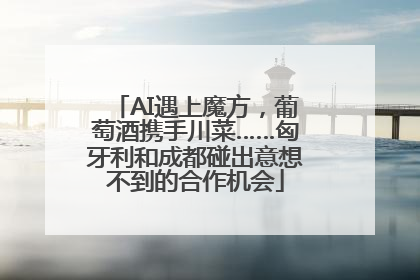 AI遇上魔方，葡萄酒携手川菜……匈牙利和成都碰出意想不到的合作机会